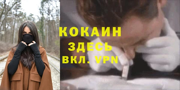 метадон Гусь-Хрустальный
