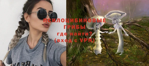 не бодяженный Гусев