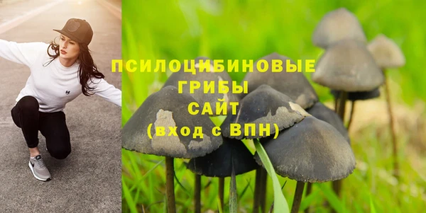 не бодяженный Гусев