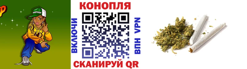 Купить где  Новозыбков  Канабис индика 